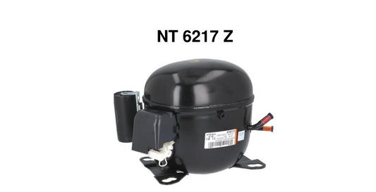 NT 6217 Z